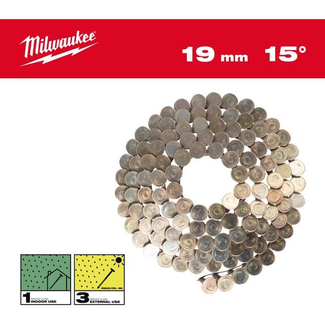 Coilnägel